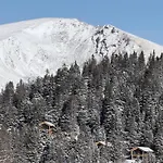 シャレー Naturchalets By Alps